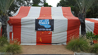 Termite control tent
